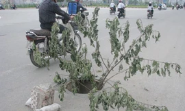 'Bốc hơi' nhiều nắp hố ga