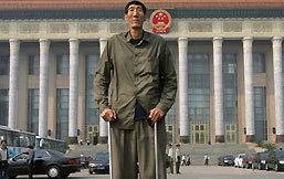 Mời người cao nhất thế giới cứu cá heo