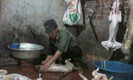 Chuyện khó tin ở làng giết chó lớn nhất Việt Nam