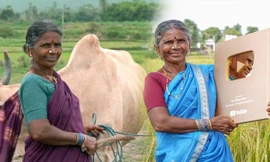 Người bà không biết chữ trở thành ngôi sao YouTube ở Ấn Độ gây tò mò