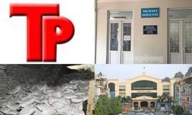 Bản tin Hình sự: Nữ cán bộ 49 tuổi vừa bị bắt vì liên quan đến Đường 'Nhuệ' là ai?