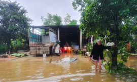 Người dân Quảng Trị mòn mỏi chờ lũ rút để được nấu cơm