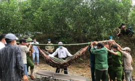 Sạt lở thủy điện Rào Trăng 3: Cứu được 19 công nhân và đưa thi thể đầu tiên ra ngoài