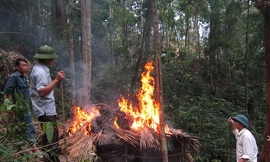 Đốt lều lán của người đào thạch anh. Ảnh: Hoàng Lam