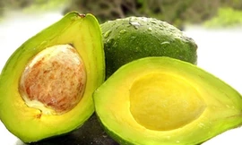 Nguồn cung cấp kali dồi dào cho cơ thể