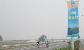 Cây xanh cụt ngọn, xe máy vô tư lưu thông Ảnh: Đức Nam