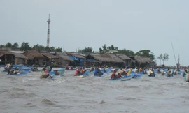 Bãi biển bị cày nát bởi hàng ngàn người cào nghêu nườm nượp đổ về Ảnh: Tiến Hưng