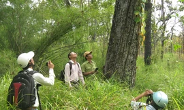 Mất nhiều rừng nếu xây dựng thủy điện trong VQG Yok Đôn