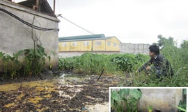 Dân lãnh đủ vì nước thải công nghiệp