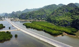 Khám phá rừng nguyên sinh Cát Bà