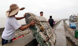 Người dân Hải Phòng đắp bao cát, gia cố nhà cửa trước cơn bão số 3