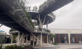 Xử phạt doanh nghiệp 'hô biến' 7.500m2 đất sản xuất thành trung tâm tiệc cưới