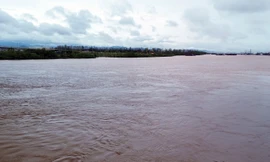 Hải Dương phát lệnh báo động mực nước trên sông Luộc 