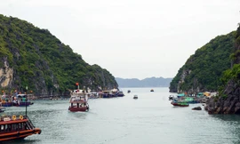 Vịnh Lan Hạ, thị trấn Cát Bà.