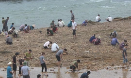 Sau tin đồn nhặt được đá quý, dân Phú Thọ đổ xô đãi cát thử vận may