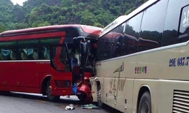 Hai xe khách 45 chỗ đối đầu trên đường xuyên đảo Cát Bà, tài xế tử vong