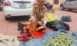 Hơn 30 kg pháo lậu bị lực lượng CSGT phát hiện bắt giữ trên tuyến QL 1A.
