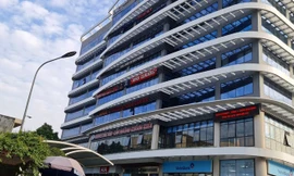 Dừng hoạt động một trung tâm Anh ngữ Apax Leaders ở Hải Phòng