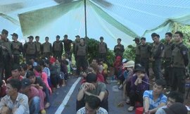 Truy tố 45 đối tượng đánh bạc trong vườn cà phê