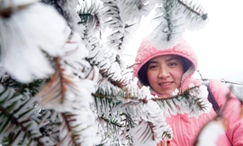 Sapa ngày thứ 2 xuất hiện băng tuyết, du khách thích thú chụp ảnh