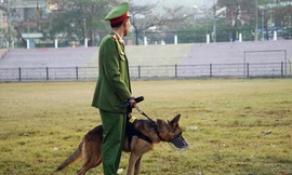 Công an tỉnh Điện Biên huy động nhiều chó nghiệp vụ tuần tra, rà soát an ninh, bảo vệ phiên tòa.