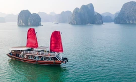 Các vịnh thuộc quần đảo Cát Bà. Ảnh: Minh hoạ