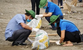 Hải Phòng làm gì để bảo vệ môi trường bền vững?
