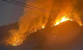 Cảnh báo cháy rừng cấp nguy hiểm ở Chí Linh và Kinh Môn