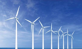 Ảnh minh họa: Internet