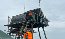 Hải Phòng yêu cầu xem xét trách nhiệm cán bộ để xảy ra sai phạm về bãi nuôi ngao