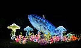 Khai trương công viên ánh sáng quy mô hơn 3 ha ở Hải Phòng 