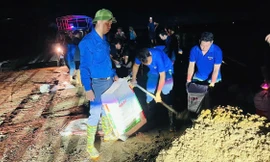 Tuổi trẻ Hải Dương xuyên đêm đắp đê chống lũ 