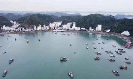 Hải Phòng đấu giá tài sản để làm khu du lịch cao cấp ở Cát Bà