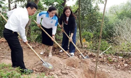 Hải Phòng phát động trồng hơn 5.000 cây xanh hưởng ứng Tết trồng cây