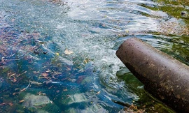 Ảnh minh họa: Internet