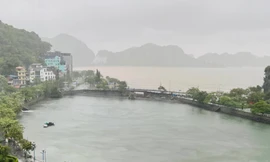 Nhiều khách sạn giảm giá 50% cho du khách mắc kẹt ở đảo Cát Bà