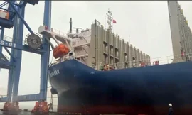 Hải Phòng: Bắt tàu biển đâm hỏng cần cẩu dàn cảng Đình Vũ