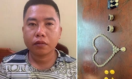 Vơ vét vàng, kim cương 'tiện tay' lấy 2 khẩu súng của gia chủ