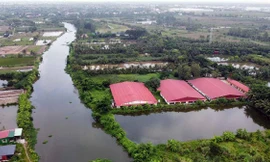 Toàn cảnh trang trại chăn nuôi xả trộm chất thải ra sông Họng gây ô nhiễm ở quận Đồ Sơn, TP Hải Phòng.