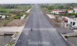 Hải Phòng đề xuất đầu tư hơn 11.500 tỷ nâng cấp đường ven biển thành cao tốc