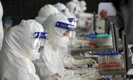 Xác định nguồn lây 3 mẹ con ở Hải Phòng mắc COVID-19 