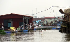 Hải Dương: Hàng nghìn lồng bè nuôi cá phủ kín khúc sông, tiềm ẩn nguy hiểm