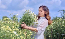 Giới trẻ Hải Phòng xúng xính váy áo check-in vườn cúc họa mi 