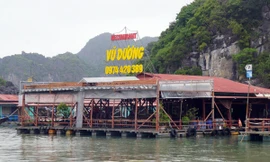 Vừa vào mùa du lịch, hàng loạt nhà hàng nổi ở Cát Bà ‘đột ngột’ phải di dời