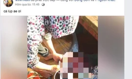 Phẫn nộ nhóm người Livestream cảnh giết cá heo lên Facebook