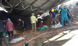 Cháy xưởng lạc lúc rạng sáng, thiệt hại gần 10 tỷ đồng