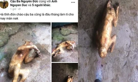 Lại một thanh niên 'khoe' hình khỉ bị giết lên facebook gây phẫn nộ