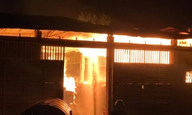 Kho gỗ quý 150 tấn cháy ngùn ngụt trong đêm