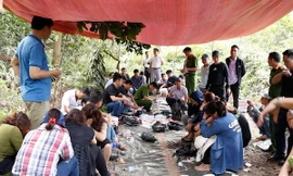 Hàng chục con bạc nhảy xuống hố ẩn nấp khi bị cảnh sát đột kích