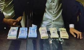 Tang vật lực lượng chức năng thu giữ được